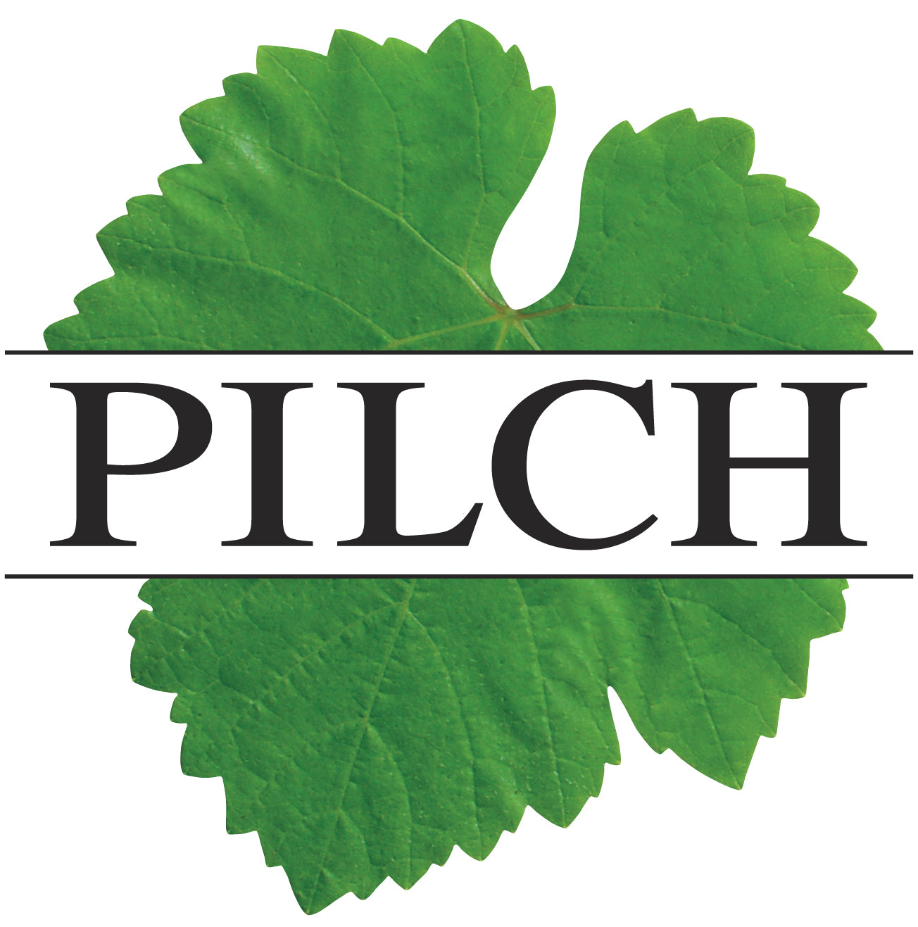 Weingut Pilch Logo