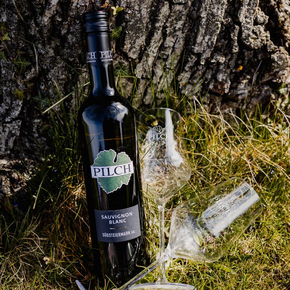 Weingut Pilch Weinflasche Moodfoto Sauvignon Blanc