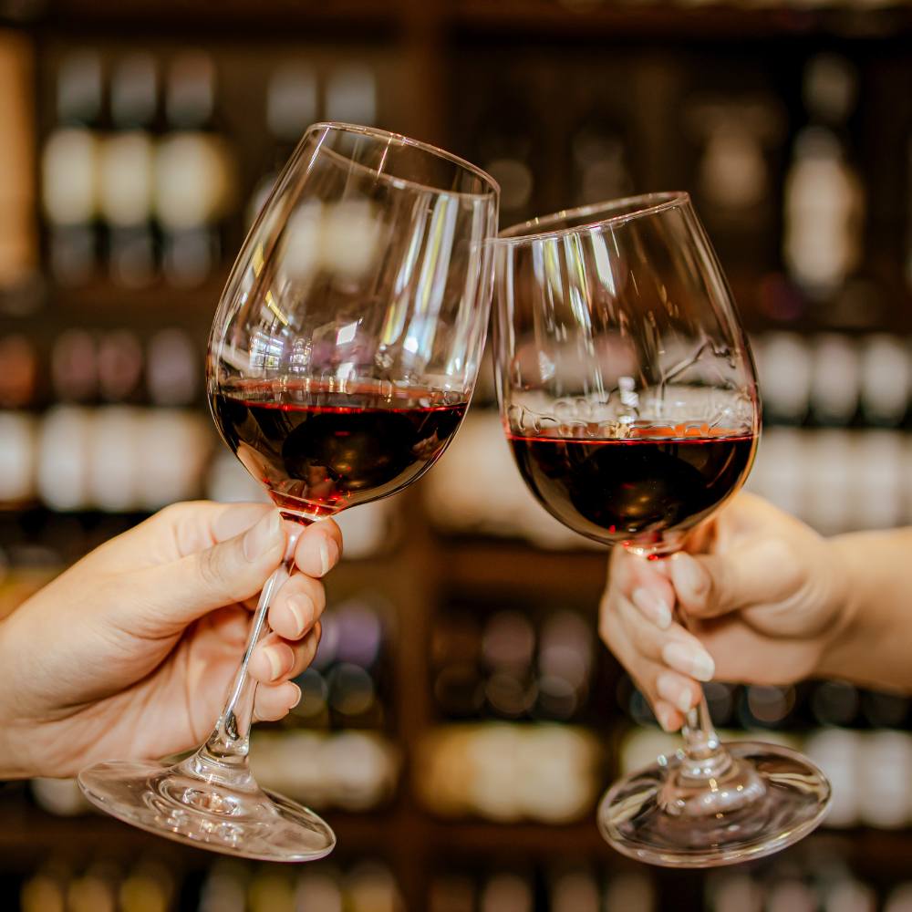 Weingut Pilch Rotwein