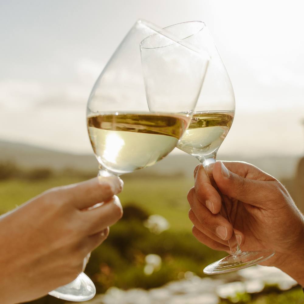 Weingut Pilch Weisswein