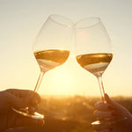Weingut Pilch Weisswein