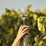 Weingut Pilch Weisswein