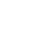 Icon Weintraube